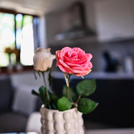 Apartment Barbara Бибинье Экстерьер фото