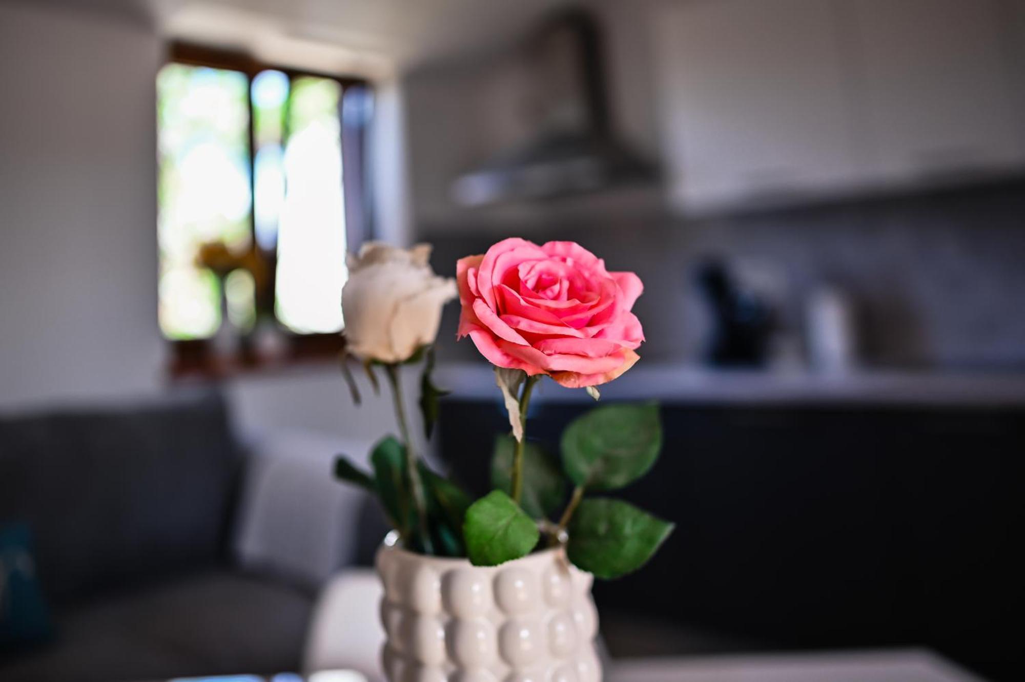 Apartment Barbara Бибинье Экстерьер фото